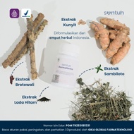 SENTUH DermaHerbs | Herbal Supplement for Eczema & Itchy Skin | Relieves Itching, Inflammation, and 