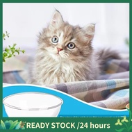 Small Space Cat Furniture Transparent Cat House Pet Furniture Anti-Scratch Replacement Cat Accessori