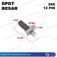 Push Switch 2x6 - DPDT Large 12 Pin Large DPDT Switch