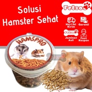 Hamster Seafood / Makanan Hamster / Pakan Hamster / Snack Hamster