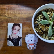 IZONE WONYOUNG PHOTOCARD HEARTIZ OFFICIAL (SAPHIRE VER)