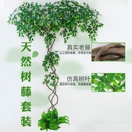 Living Room Decoration Green Plant Rattan Simulation Branch Fake Flower Potted Plant Leaves Indoor F