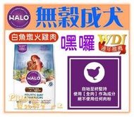 【免運送零食】美國HALO嘿囉《無穀成犬燉食-新鮮白魚燉火雞肉+鷹嘴豆》14磅 WDJ 狗飼料【Plumes寵物部屋】