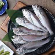 【佐佐鮮】野生三去黑喉魚9包組,共45-54尾(5-6尾_300g±10%/包)