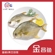 READY STOCK FROZEN FOOD IKAN SEGAR SEAFOOD IKAN HITAM BAWAL EMAS