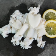 Sotong Small 700g [NR Farmers Market ]