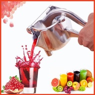 Steel Portable Fruit Juicer