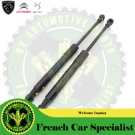 Engine Damper For Peugeot RCZ 792526 Original Peugeot