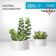 Nordic Mini Square Succulent Ceramic Flower Pot / Cactus Pot / 小花盆 / 多肉小花盆