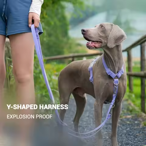 Waterproof Series Dog Collar Leash Harness Adjustable Collar Length Durable Small Dogs Medium Dogs L
