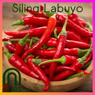 SeedsPLAZA™ - Siling Labuyo (50 Seeds) for Planting Vegetable Plants + Instructions for Chili Pepper