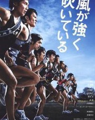 DVD 賣場 【強風吹拂強風正勁】2009年