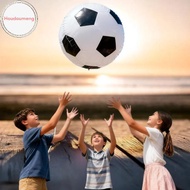 Houdou 1pc 3D Large Football Balloon, And Blue Football, Suitable For Football Theme, Sports Party B