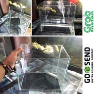 Latest Glass Aquarium 30X25X30