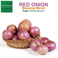 Fresh Onion/ Bawang Besar Segar-1Kg