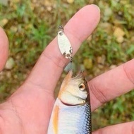 Mini glider spoon ditch fishing bait spoon fishing lure fishing lure