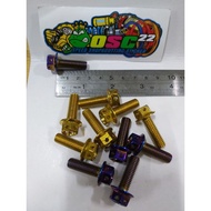 Probolt GOLD AND BLUE FLOWER DRAT BOLT 12 LENGTH 2.5CM 8X25 ORI HENGs