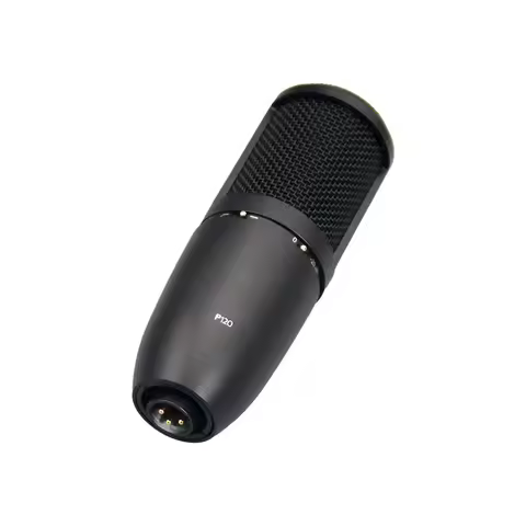 EIF With Lightweight Diaphragm Ensure Clear Sound P120 Studio Equipment Condenser Microphone For Rec