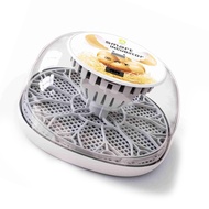 [LIS1] Egg Incubator for Hatching with Automatic Turning Led Test Lamp Clear Lid Easy to Wash 12 Egg