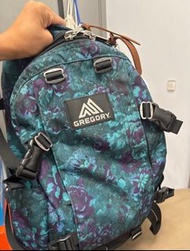 Gregory 藍花 24L 8成新