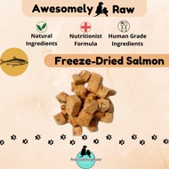 Freeze-dried Salmon Cube Pet Snack Pet Cat Treats 宠物零食 三文鱼冻干块 手工零食 手工宠物零食 天然零食 宠物冻干零食