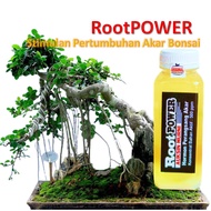 Penumbuh akar tanaman stek / obat perangsan akar setek / Penumbuh akar tanaman / Penumbuh  bonsai