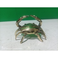 Indonesian crab small 8