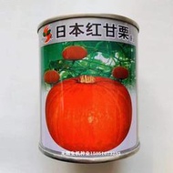 現貨  快速發貨 特價 紅皮南瓜種籽蔬菜春季菜種子高產日本紅甘栗貝貝南瓜種孑貴族南瓜