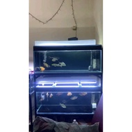 Multipurpose shelf L100cm W40cm H100cm 2 tiers aquarium shelf/ Dismantle and assemble shelf/ custom 