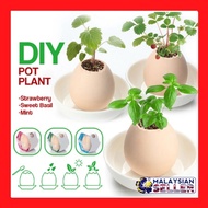 PLANT EGG - DIY Mini Pot Plant [ Strawberry / Sweet Basil / Mint ]