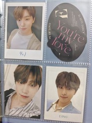 SEVENTEEN DINO 小卡