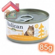 Salican 挪威森林 經典系列 白肉吞拿魚+鯷魚 啫喱貓罐頭 85g [001972]