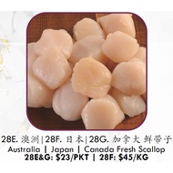 28G) Frozen Canada Scallop 冷冻加拿大带子 | 450G | EASY TO COOK | DELICIOUS