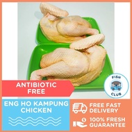 Eng Ho Free Range Kampung Chicken Antibiotic-Free / Ayam Kampung