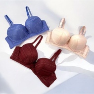 FELANCY Lace Bra 01296 - Underwire - 3 Hooks - Size 36B 38B 40B - Felancy Bra