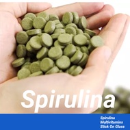 KL Ready - Spirulina Tablets For Shrimp RCS and Algae Eating Fish Otto, Pleco, Guppies, Molly Loach