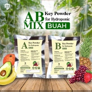 Bubuk AB Mix Nutrisi Tanaman Buah Hidroponik Memperbanyak Bunga &amp;