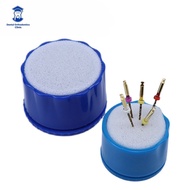 Dental Endo File Clean Stand Sponge Autoclavable Endodontics File Cleaning Box
