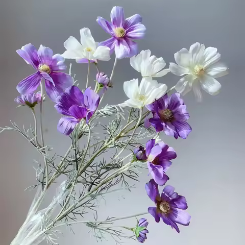Artificial Gesang Flower Single Branch 4 Fork Queen Cosmos Fake Flower Silk Flower Bouquet Living Ro