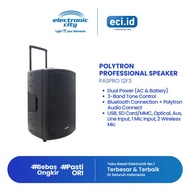 Polytron Professional Speaker - Paspro 12F3