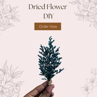 CLEARANCE SALE Lover Grass Dried Flower Caspia Bouquet