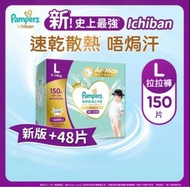 Pampers 拉拉褲 pampers ichiban L 大碼
