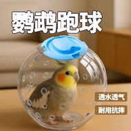 鹦鹉跑球玩具小鸟跑轮虎皮牡丹解闷自嗨跑步机玄风八哥运动遛鸟用Parrots Relieve Boredom with Toy Rings, Climb, Play, Bite and  Cc6EAMS