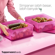 [Tupperware Level] Festive Stor N Serve - 6L / Mega Keeper - 10.5L