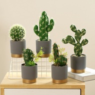 Artificial Cactus Plant Fake Green Succulent Bonsai Pot for Wedding Party Decoration Office Desktop Home Ornaments