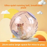 Sugar Glider Hamster Exercise Toy 20cm Clear Ball for Cage & Outdoor Sugar Glider Toys Accessories M