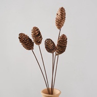Pine Cone Dried Flowers Natural Dried Flowers Acorn Bullet Spruce Fruit Nordic Home Decoration Flowe