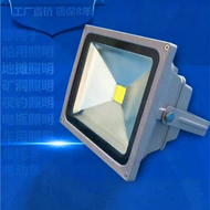 Spotlight Bulb 12V