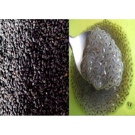 Imported Basil seeds / premium Basil seeds