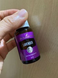$187 薰衣草精油 lavender oil
